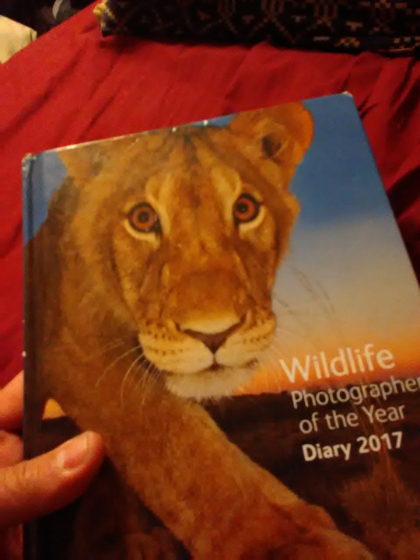 15252168087231724723621