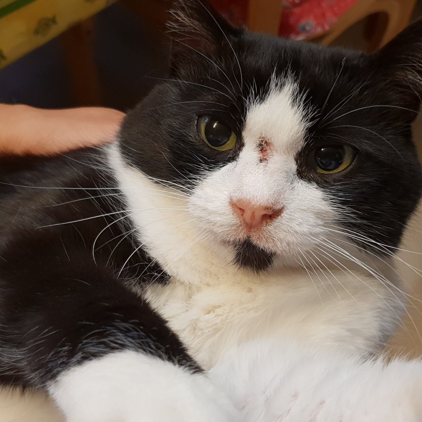 IMG_20181002_082427_637